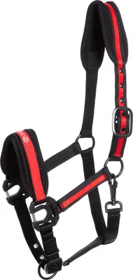 Produktbild von Kieffer - Supreme Nylon-Halfter für Pferde - schwarz/rot - Vollblut