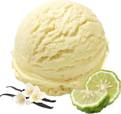Immagine prodotto di Gelato vegano alla vaniglia yuzu in polvere senza zucchero, senza lattosio 1 kg