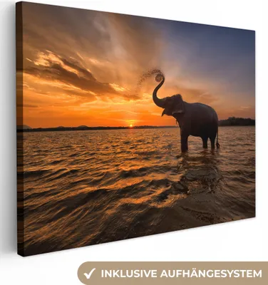 Produktbild von MuchoWow® - Leinwandbilder - Elefant - Meer - Tiere - Sonnenuntergang - Orange, Wandbild, Wanddeko Bilder Wohnzimmer, 120x90 cm