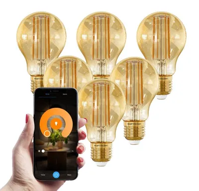 Produktbild von hoftronic Smart E27 LED-Glühlampe 7W 806lm A60 bernsteinfarben dimmbar