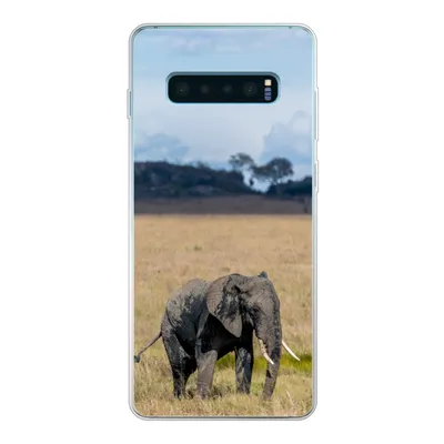 Produktbild von MuchoWow® Handyhülle Schutzhülle Hülle für Samsung Galaxy S10 Plus Elefant - Gras - Tiere - Natur Silikon Softcase Handy Hülle - Schutzhülle