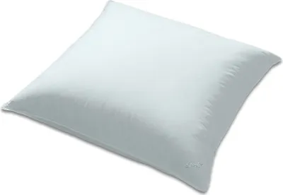 Produktbild von Künsemüller Daunenkopfkissen, „Labrador 3 Kammer Kissen“, 100% Daunen