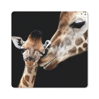 Produktbild von MuchoWow® Mauspad Mousepad Giraffe - Tiere - Schwarz - Porträt - Tiere 30x30 cm - Mousepads - Maus Mat - Pad - Mausunterlage - Gaming