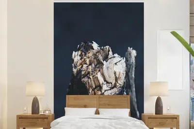 Obrázek produktu pro MuchoWow® Fototapety do obývacího pokoje nebo ložnice tapety vinylové motivy tapety Dřevo - strom - abstraktní 170x260cm
