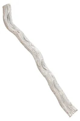 Image de EUROPALMS Cipo Rosca Liane, getrocknet 70x8cm (83502368)
