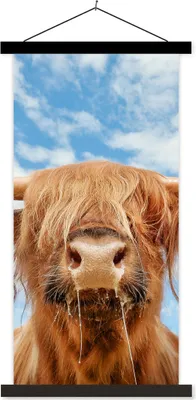 Produktbild von MuchoWow® Textilposter Schottisches Hochlandrind - Wolke - Tiere 60x120 cm mit schwarzem Rahmen - Magnete