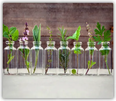 Produktbild von Tulup Glas Herdabdeckplatte Glaskeramikkochfeld-Abdeckung Spritzschutz Glasabdeckplatte Kochplattenabdeckung und Schneidebrett - Einteilig - 60x52 cm Pflanzen in Gläsern