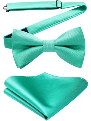 Produktbild von Fliege mit Einstecktuch Set Herren vorgebunden verstellbar Polyester-Seide Aqua