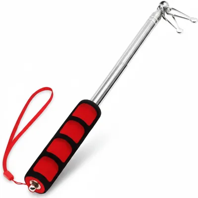 Produktbild von InAndOutdoorMatch - Teleskopischer Flaggenmast - Ausfahrbar, KI-generiertes Bild