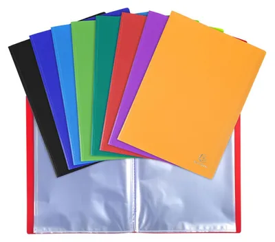 Image de Exacompta 8510E : chemise transparente A4, 10 pochettes de couleurs assorties, 24 x 32 cm