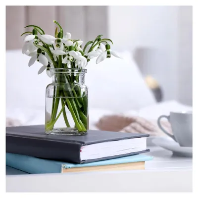 Produktbild von 30 Stück, Eckige Mini-Vasen aus Glas, kleine Dekoflaschen, Blumenvase, transparente Glasflaschen