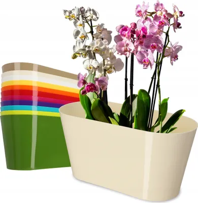 Produktbild von KADAX Blumentopf aus Kunststoff "Pareti", Ovaler Topf, Pflanzentopf, für Orchideen, 27 cm, Creme