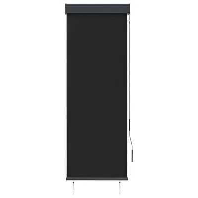 Zdjęcie produktu dla vidaXL Roleta zewnętrzna 60 x 250 cm antracytowa