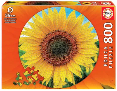 Immagine prodotto di Educa - Puzzle rotondo di girasoli da 800 pezzi