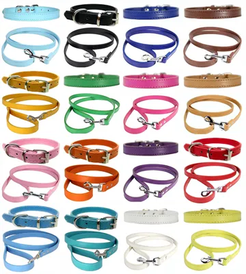 Image de Collier et laisse en cuir souple pour chiots, chiens de petite, moyenne et grande taille