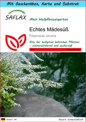 Produktbild von SAFLAX - Geschenk Set - Heilpflanzen - Echtes Mädesüß - 500 Samen - Mit Geschenk- / Versandbox, Versandaufkleber, Geschenkkarte und Anzuchtsubstrat - Filipendula ulmaria