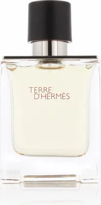 Obrázek produktu pro Hermès Terre D'Hermès EDT 50 ml M