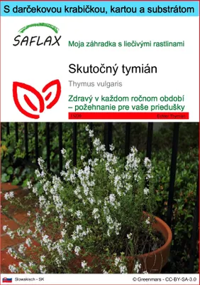 Obrázok produktu pre SAFLAX Darčeková sada - Skutočný tymián - Thymus vulgaris - 200 Semená - S darčekovou krabičkou, prepravným štítkom, darčekovou kartou a pestovateľským médiom