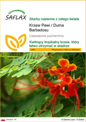Zdjęcie produktu dla SAFLAX - Krzew Pawi / Duma Barbadosu - 10 Nasiona - Caesalpinia pulcherrima