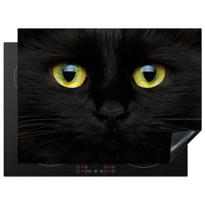 Produktbild von KitchenYeah© Herdabdeckplatte Katze - Schwarz - Tiere - Katzen , 70x52cm, Küche Deko, Glaskeramikkochfeld Herdabdeckung, Abdeckplatte fùr Kochfeld