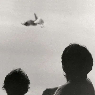 Immagine prodotto di Federico Albanese - Prima e ora sembra infinito (LP)