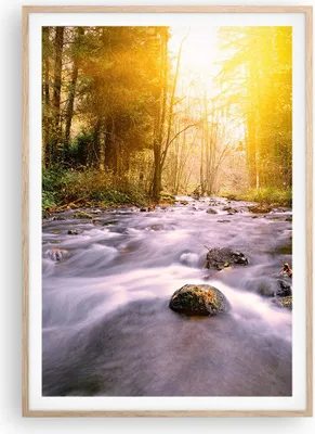 Produktbild von Gerahmtes Poster - Rahmen in heller Eiche - Herbst Wald Berg Fluss - 70x100 cm - Wand Bild - Wanddeko - Wandbilder - Wandposter - Bilderrahmen - Bilder - Kunstdruck - Wandbild - P2NPA70x100-0504