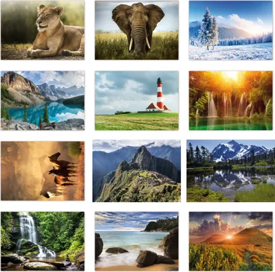 Produktbild von 12 Stück Postkarten MIX - Set aus verschiedenen Motiven mit Natur und Tieren, siehe Abbildung - Format: DIN A6 ( PKT-004 )