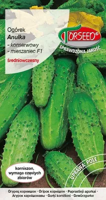 Produktbild von Samen Gurke Boden Gurke, Anulka F1 3g - Torseed