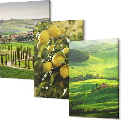 Produktbild von Leinwandbilder – Wandbilder – Leinwandbild – Canvas Bild – Polycanvas – Kunstdruck – – Modern – Aufhängefertig – Mehrteilig – 3-Teilig – 20x30 Cm Pro Bild - Italienische Landschaften mit Zitrusbäumen und grünen Hügeln