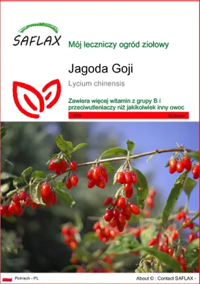 Zdjęcie produktu dla SAFLAX - Jagoda Goji - 200 Nasiona - Lycium chinensis