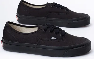 Zdjęcie produktu dla Vans Authentic 44 DX (VN0A38ENSTZ1) 36