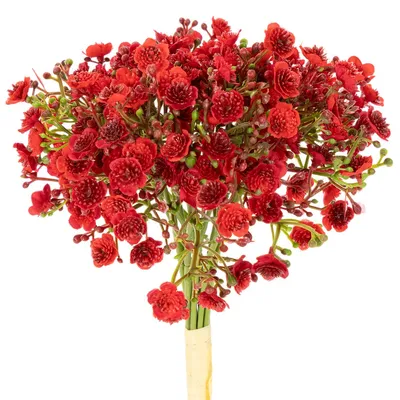 Produktbild von Künstliche Schleierkraut Blumen für Dekoration und Gestecke, 10 Stück
