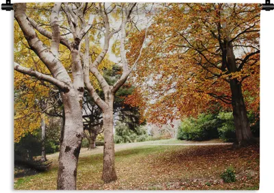 Produktbild von MuchoWow® Wandteppich Wandbehang Herbst - Bäume - Laub - Natur 150x112.50 cm Tapisserie Dekoration Wandtuch - Wanddecke - Wandteppiche
