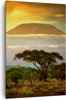 Produktbild von Bild auf Leinwand - Leinwandbild - Einteilig - Safari Tierwelt Berg Kenia - 70x100cm - Wand Bild - Wanddeko - Wandbilder - Leinwanddruck - Wanddekoration - Leinwand bilder - Wandbild - PA70x100-3170