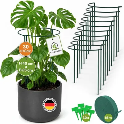 Produktbild von TTL GARDEN Strauchstützen 30er Set 40x25cm + Klettband + Pflanzschilder