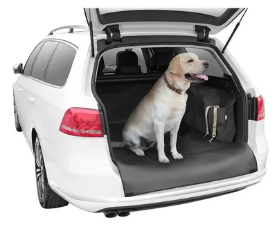 Image de Housse de voiture pour chien Dexter XL