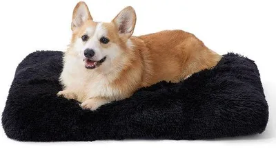 Immagine prodotto di Cuccia morbida per cani 74x53x8 cm, lavabile, antiscivolo, nera