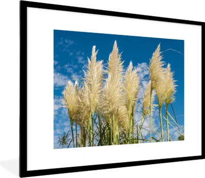 Produktbild von MuchoWow® Gerahmtes Poster Pampasgras - Pflanze - Natur 80x60 cm - Poster mit Schwarzem Bilderrahmen Wandposter Rahmen Foto Bilder - Schlafzimmer-Dekorationen - Fotoposter