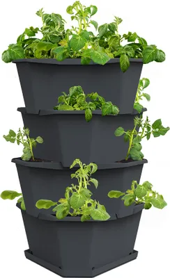 Produktbild von Gusta Garden PAUL POTATO STARTER, Vertikale Pflanzmaschine, Freistehend, Polypropylen (PP), Anthrazit, Dreieck, Drinnen/Draußen