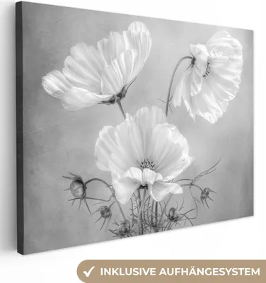 Produktbild von MuchoWow® - Leinwandbilder - Stilleben - Blumen - Schwarz und weiß - Mohn - Botanisch, Wandbild, Wanddeko Bilder Wohnzimmer, 120x90 cm