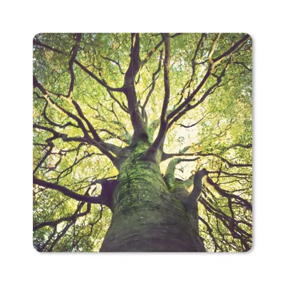 Produktbild von MuchoWow® Mauspad Mousepad Beruhigende Zweige eines grünen Baumes 20x20 cm - Mousepads - Maus Mat - Pad - Mausunterlage - Desk Mat - Bureauartikeln