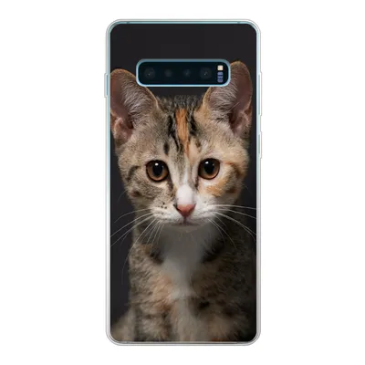 Produktbild von MuchoWow® Handyhülle Schutzhülle Hülle für Samsung Galaxy S10 Plus Katze - Schwarz - Porträt Silikon Softcase Handy Hülle - Schutzhülle