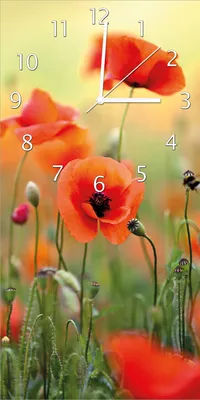 Produktbild von Wallario Design Wanduhr Mohnblumenblüten aus Echtglas, Größe 30 x 60 cm