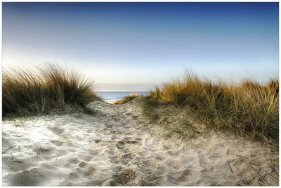 Produktbild von Wallario Premium Glasbild, freischwebende Optik, kräftige Farben, Größe 90 x 60 cm Motiv Weg durch die Dünen zum Strand am Meer