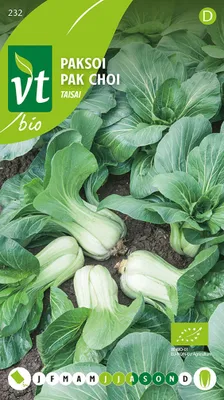 Image de Graines de taïsai pak choi- Environ 1 gr | VT_232