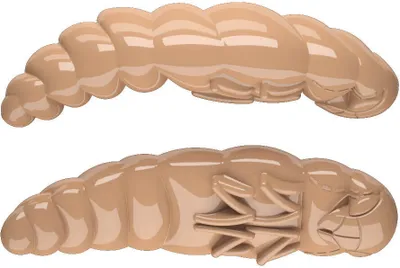Produktbild von Libra Lures Largo 35 Gummilarven Käse schwimmend Pellets