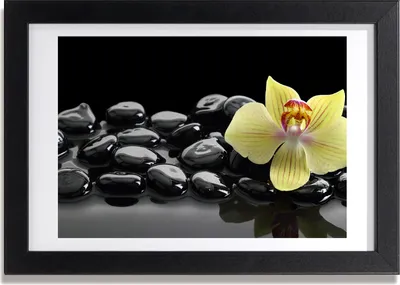 Produktbild von Bild 30x20 MDF-Rahmen, Wandkunst Orchidee