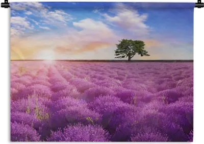 Produktbild von MuchoWow® Wandteppich Wandbehang Lavendel - Baum - Sonnenuntergang - Lila 90x67.5 cm Tapisserie Dekoration Wandtuch - Fototeppich - Wand-Skulpturen