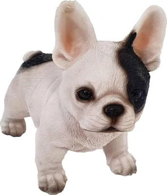 Produktbild von Dekofigur Bulldogge 14 x 12 x 8 cm