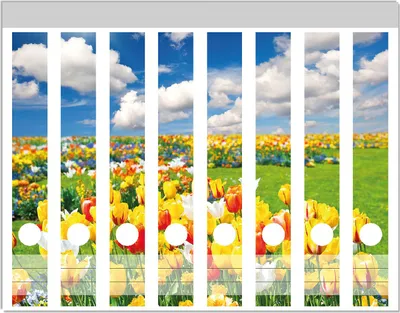 Produktbild von Wallario Ordnerrücken Sticker, selbstklebend für schmale Ordner, 8 Stück, Motiv Tulpenwiese unter blauem Himmel